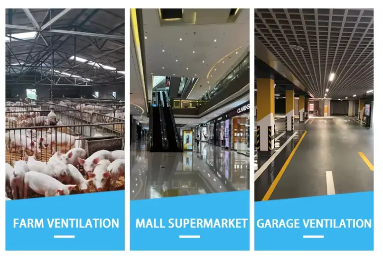 High Volume Centrifugal Blower